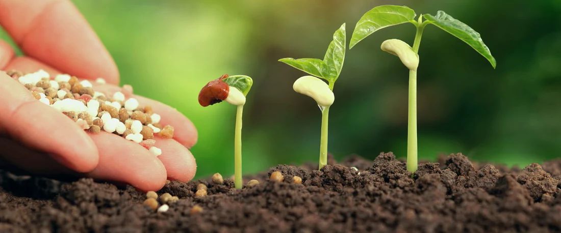 Core Values Background